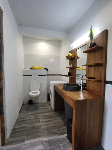 Appartement 50 m² avec terrasse et parking à Sainte-Anne, Martinique : photo 14