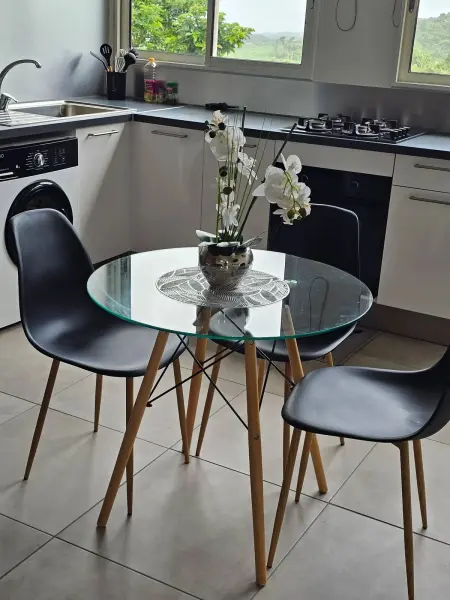 Studio 32 m² à Gros-Morne, vue montagne et jardin, parking sur place : photo 3