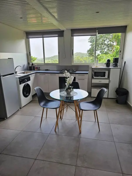 Studio 32 m² à Gros-Morne, vue montagne et jardin, parking sur place : photo 4