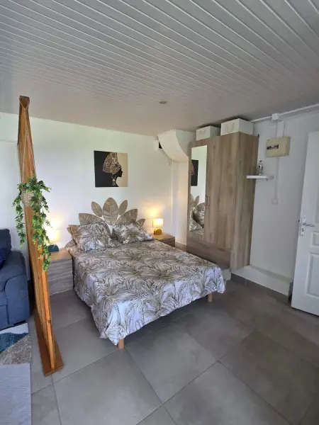 Studio 32 m² à Gros-Morne, vue montagne et jardin, parking sur place : photo 7
