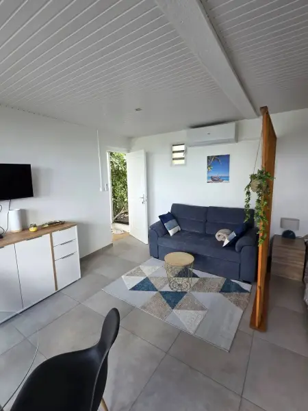 Studio 32 m² à Gros-Morne, vue montagne et jardin, parking sur place : photo 9
