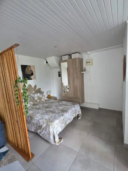 Studio 32 m² à Gros-Morne, vue montagne et jardin, parking sur place : photo 11