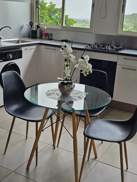 Studio 32 m² à Gros-Morne, vue montagne et jardin, parking sur place : photo 12
