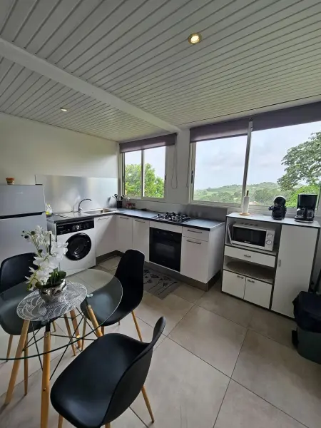 Studio 32 m² à Gros-Morne, vue montagne et jardin, parking sur place : photo 16