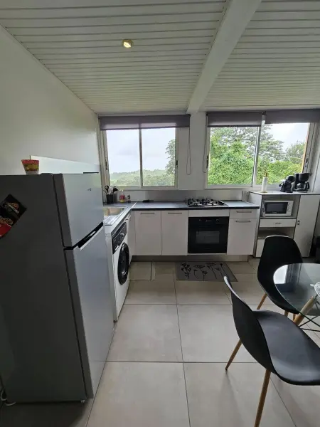 Studio 32 m² à Gros-Morne, vue montagne et jardin, parking sur place : photo 17