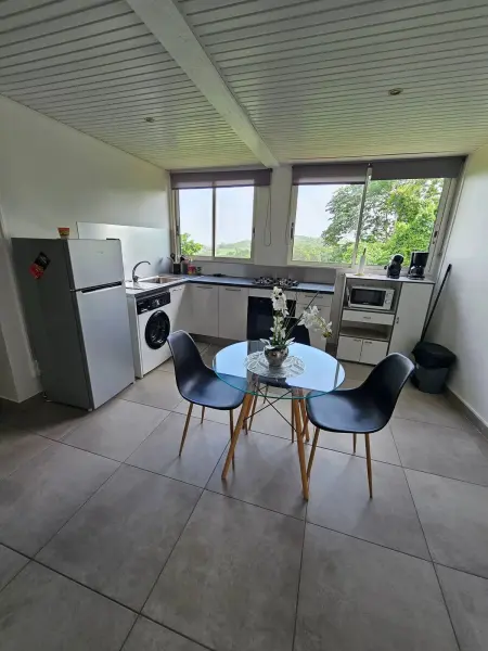 Studio 32 m² à Gros-Morne, vue montagne et jardin, parking sur place : photo 18