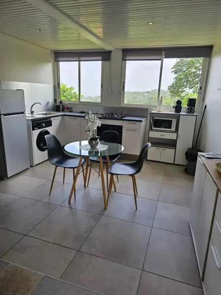 Studio 32 m² à Gros-Morne, vue montagne et jardin, parking sur place : photo 20