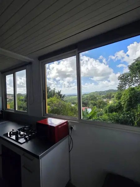 Studio 32 m² à Gros-Morne, vue montagne et jardin, parking sur place : photo 22
