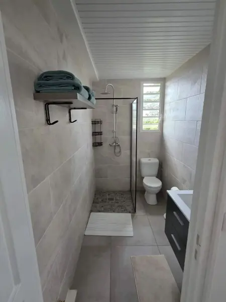 Studio 32 m² à Gros-Morne, vue montagne et jardin, parking sur place : photo 23