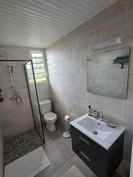 Studio 32 m² à Gros-Morne, vue montagne et jardin, parking sur place : photo 24
