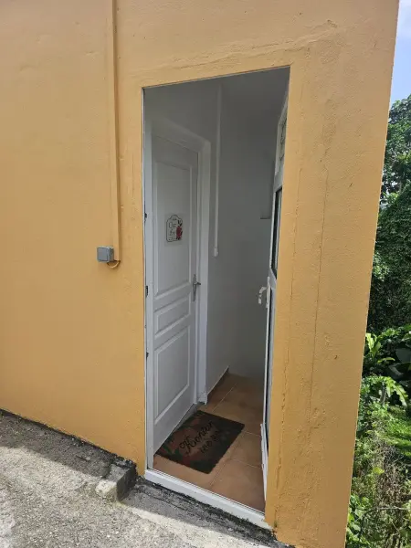 Studio 32 m² à Gros-Morne, vue montagne et jardin, parking sur place : photo 29