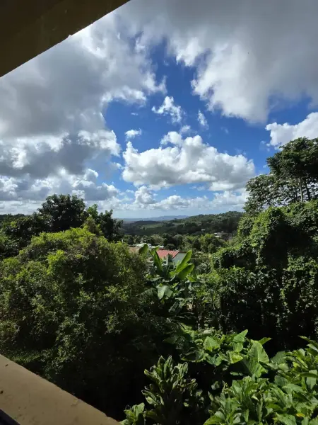 Studio 32 m² à Gros-Morne, vue montagne et jardin, parking sur place : photo 34