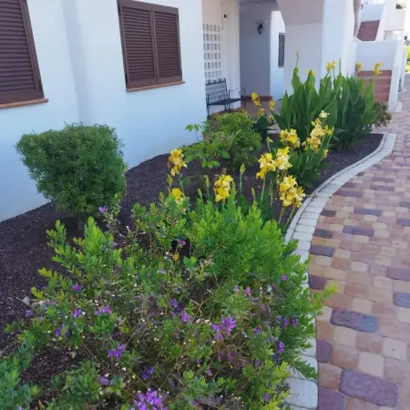 Appartement 2 chambres vue mer, piscine et jacuzzi à San Juan de los Terreros : photo 5