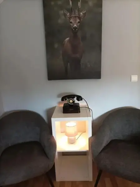 Histoire de Lola : appartement 30 m² avec jardin à Durbuy : photo 8