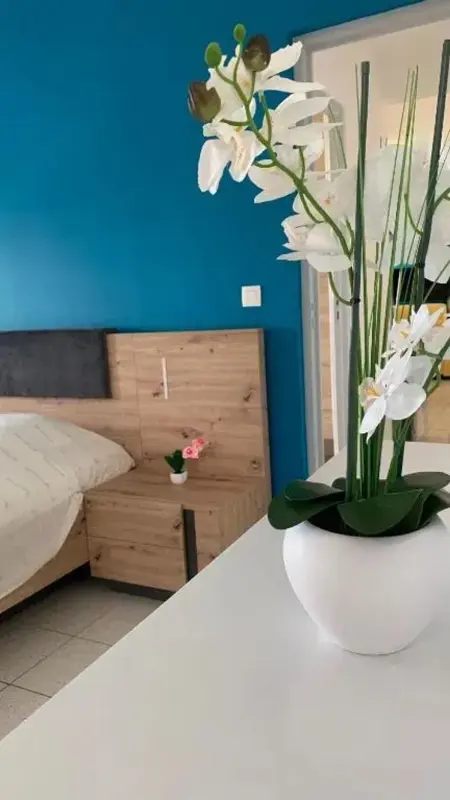 Appartement 70 m² avec terrasse privée, Les Trois-Îlets : photo 9