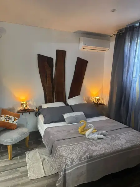 Appartement 50 m² avec terrasse et balançoire à Sainte-Anne : photo 2