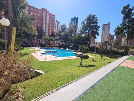 Appartement 50 m² vue piscine à Benidorm, 4 personnes : photo 25