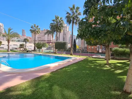 Appartement 50 m² vue piscine à Benidorm, 4 personnes : photo 32