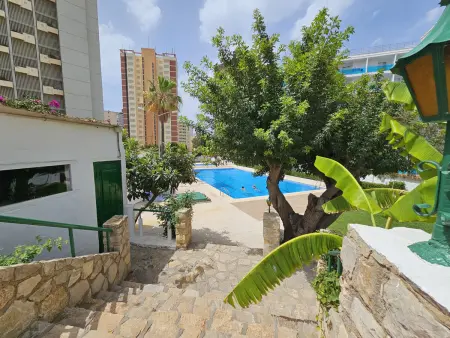 Appartement confortable, clim - 3 pers., Appartement 3 personnes à Benidorm : photo 1