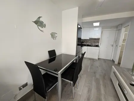 Appartement confortable, clim - 3 pers., Appartement 3 personnes à Benidorm : photo 3