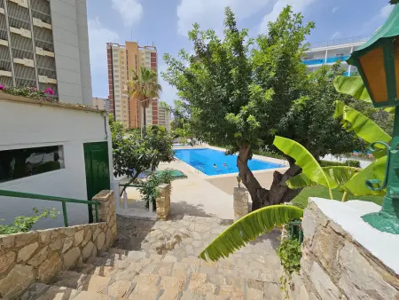 Appartement confortable, clim - 3 pers., Appartement 3 personnes à Benidorm : photo 20