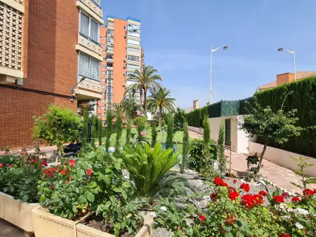 Appartement avec clim, calme - 3 pers., Appartement 3 personnes à Benidorm : photo 22