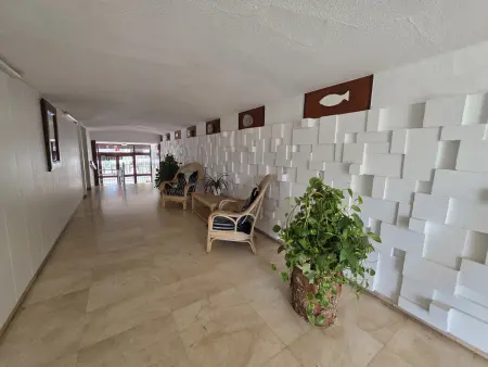 Appartement équipé avec vue mer - 5 pers., Appartement 5 personnes à Benidorm : photo 13