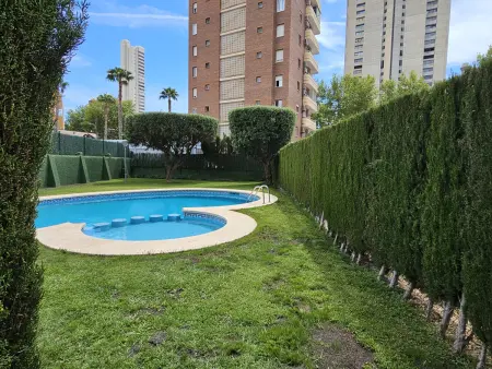 Appartement cosy vue piscine - 4 pers., Appartement 4 personnes à Benidorm : photo 25