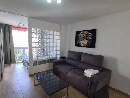 Appartement avec climatisation - 3 pers., Appartement 3 personnes à Benidorm : photo 1