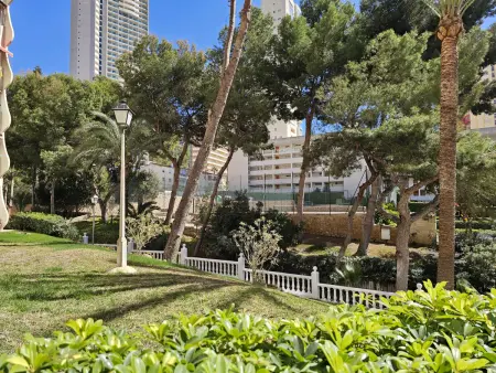 Studio moderne vue mer à Benidorm, 3 personnes, piscine : photo 31