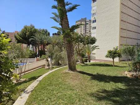Studio moderne vue mer à Benidorm, 3 personnes, piscine : photo 32