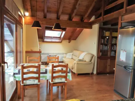 Appartement 2 chambres avec terrasse vue Puigmal à Puigcerdà : photo 2