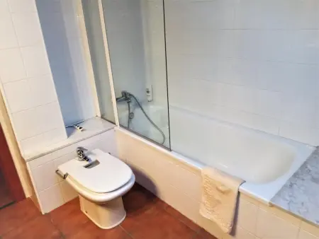 Appartement 2 chambres avec terrasse vue Puigmal à Puigcerdà : photo 20