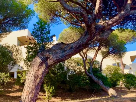 Appartement calme avec clim et piscines - 6 pers. : photo 19