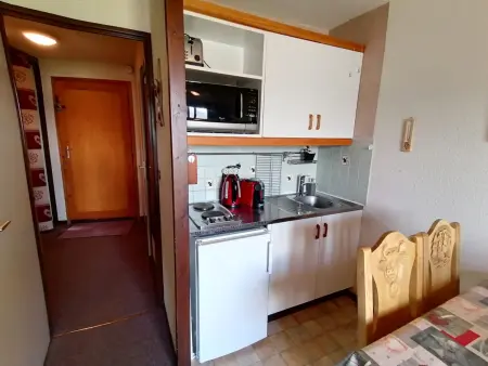Appartement lumineux  Accès direct aux pistes  Balcon : photo 3