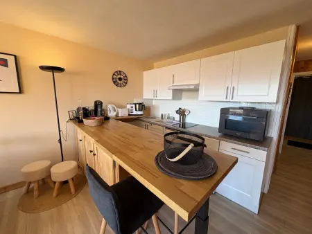 Appartement 2 pièces rénové avec vue montagne à Hauteluce : photo 8