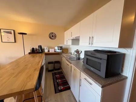 Appartement 2 pièces rénové avec vue montagne à Hauteluce : photo 9