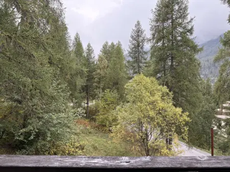 Studio chaleureux avec vue forêt - 4 pers., Appartement 4 personnes à Les Orres : photo 8