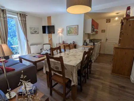 Appartement chaleureux, animaux OK, vue Mt Blanc : photo 2