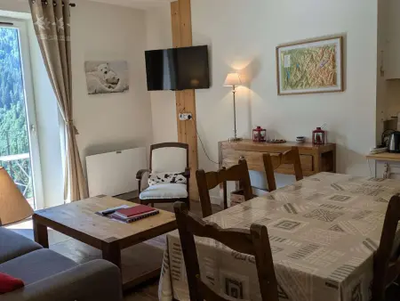 Appartement chaleureux, animaux OK, vue Mt Blanc : photo 4