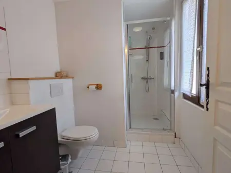 Appartement chaleureux, animaux OK, vue Mt Blanc : photo 8