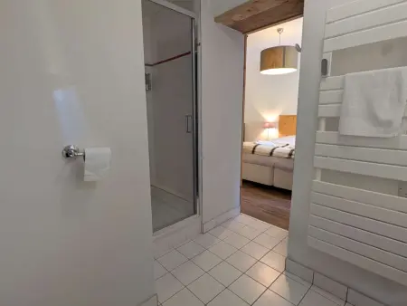 Appartement chaleureux, animaux OK, vue Mt Blanc : photo 9