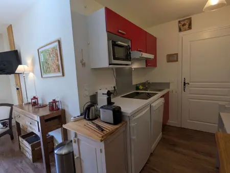 Appartement chaleureux, animaux OK, vue Mt Blanc : photo 10