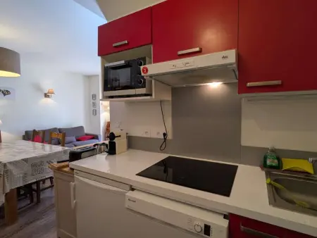 Appartement chaleureux, animaux OK, vue Mt Blanc : photo 11