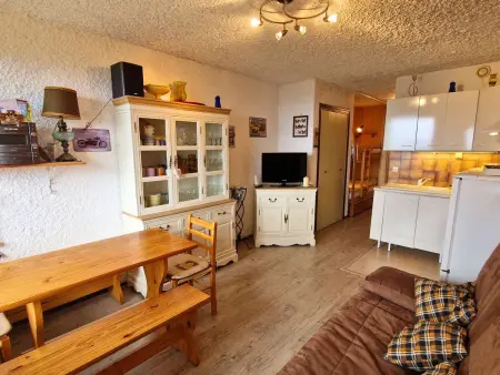 Studio sud, animaux OK - 6 pers., Appartement 6 personnes à Saint Michel de Chaillol : photo 10