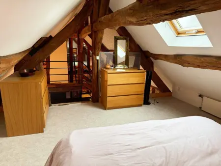 Gîte cosy, WIFI, animaux admis - 3 pers., Gîte 3 personnes à BAUZY : photo 11