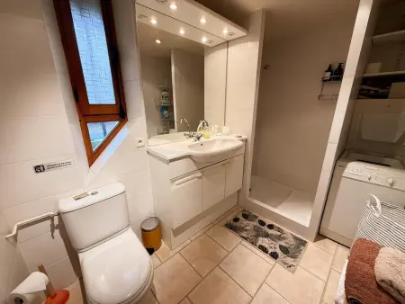 Gîte cosy, WIFI, animaux admis - 3 pers., Gîte 3 personnes à BAUZY : photo 15