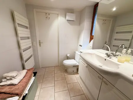 Gîte cosy, WIFI, animaux admis - 3 pers., Gîte 3 personnes à BAUZY : photo 16