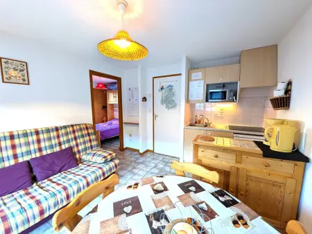 Appartement 34 m² avec balcon et vue dégagée à Saint-Jean-d'Aulps : photo 2