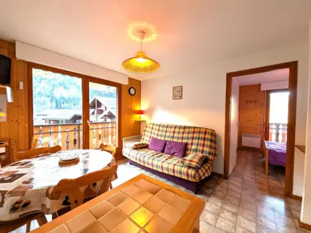 Appartement 34 m² avec balcon et vue dégagée à Saint-Jean-d'Aulps : photo 4